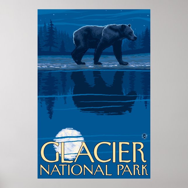Affiche Ours au clair de lune - Parc national des Glaciers (Devant)