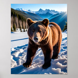 Affiche Ours Brown dans la neige