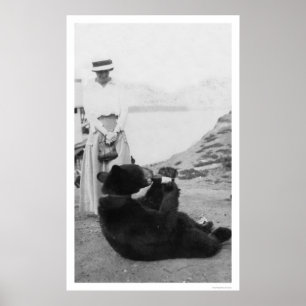 Affiche Ours buvant en Alaska 1910
