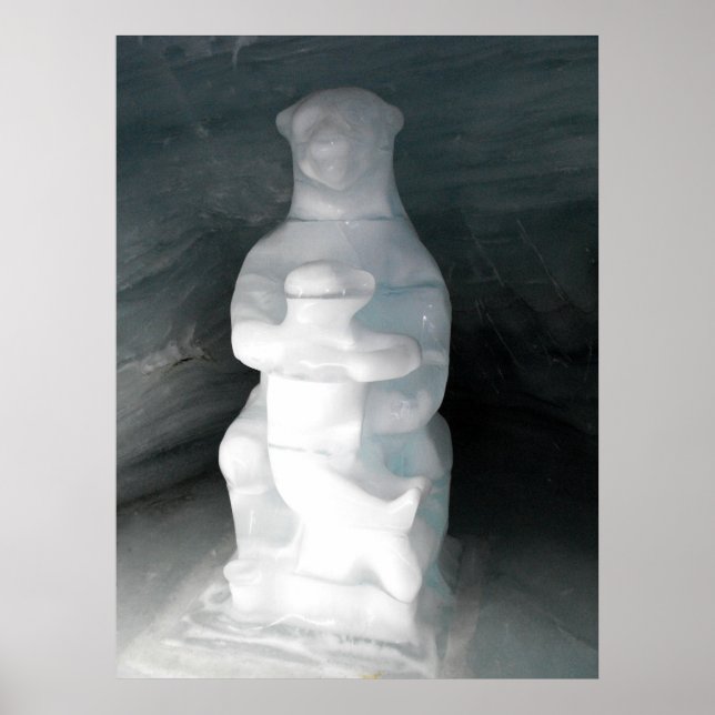Affiche Ours dans la glace (Devant)