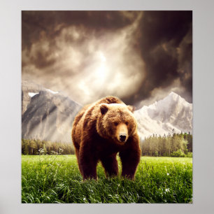 Affiche Ours de montagne