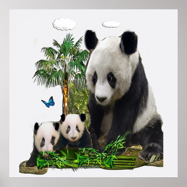 Affiche Ours de panda (Devant)