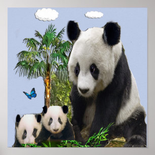 Affiche Ours de panda