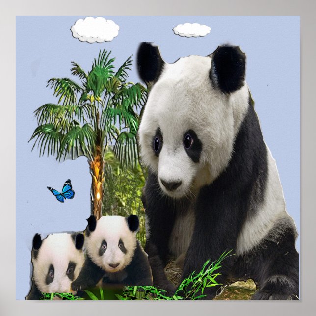 Affiche Ours de panda (Devant)