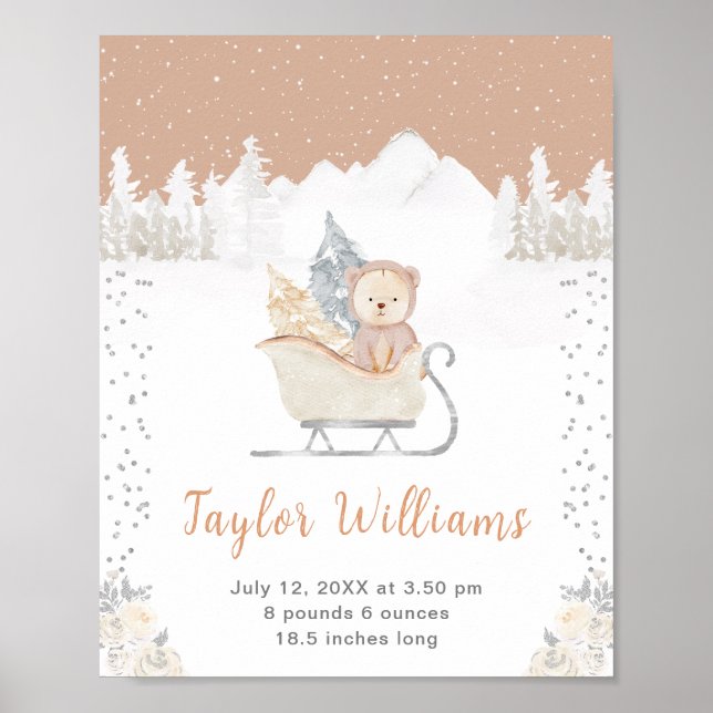 Affiche Ours d'hiver Brun Traîneau Naissance Statistiques (Devant)