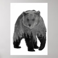 Ours Double exposition Forêt Arbres Nuit