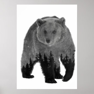 Affiche Ours Double exposition Forêt Arbres Nuit