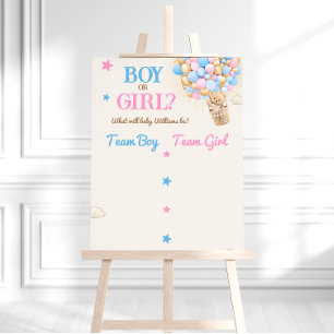 Affiche Ours en peluche révélation du sexe Rose Bleu Panne