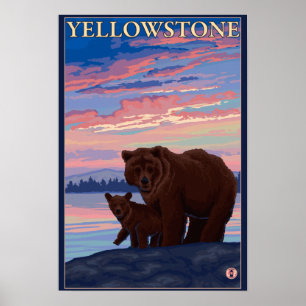 Affiche Ours et parc national de CUB - de Yellowstone
