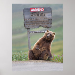 Affiche Ours Grizzly Joue Avec Un Panneau