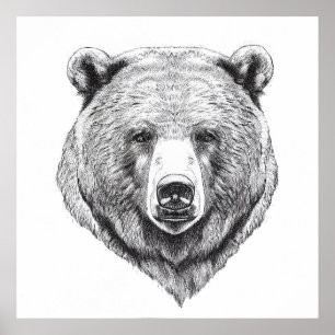 Affiche Ours Grizzly Nature sauvage Illustration animale A