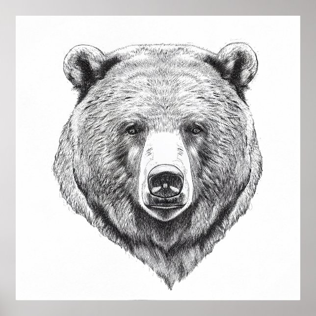 Affiche Ours Grizzly Nature sauvage Illustration animale A (Devant)