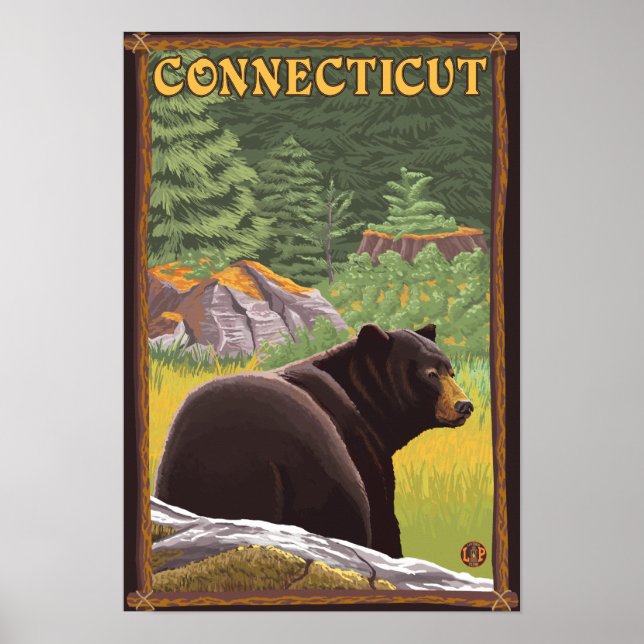 Affiche Ours noir Connecticut en forêt (Devant)