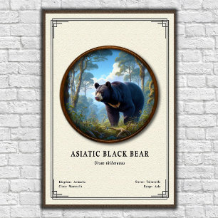 Affiche Ours noir d'Asie Série de zoologie