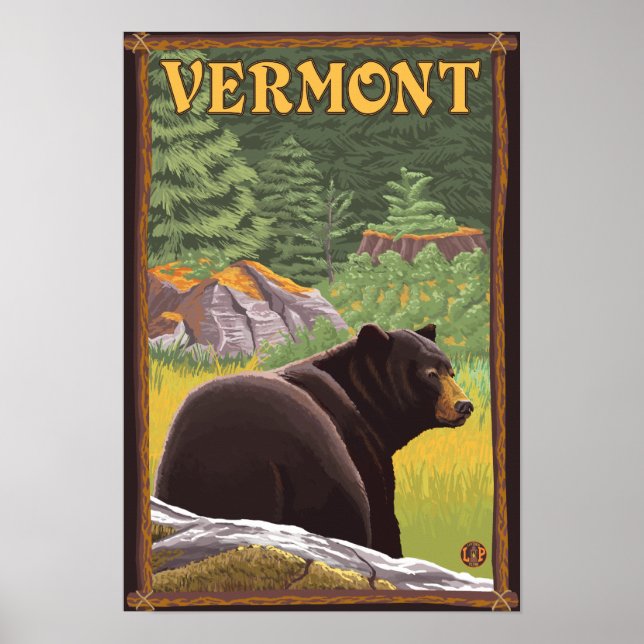 Affiche Ours noir du Vermont en forêt (Devant)