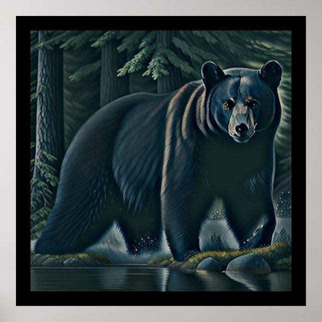 Affiche Ours Noir Majestueux De La Forêt Du Nord (Devant)