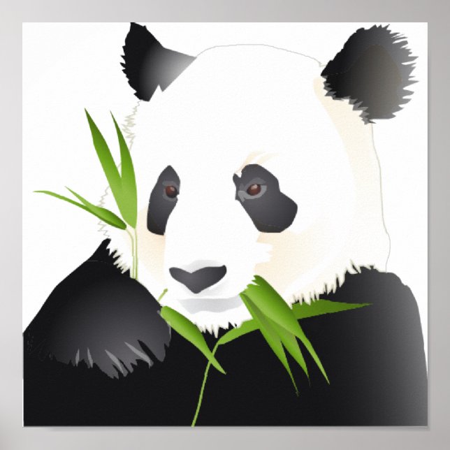 Affiche Ours Panda (Devant)