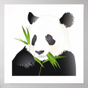 Affiche Ours Panda