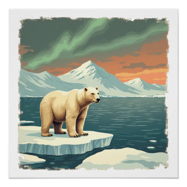 Affiche Ours Polaire (Devant)