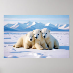 Affiche Ours polaire Animal Nature Animaux Affection Faune