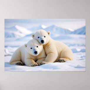 Affiche Ours polaire Animal Nature Animaux Affection Faune