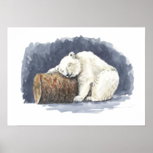 Affiche Ours polaire dormant, aquarelle