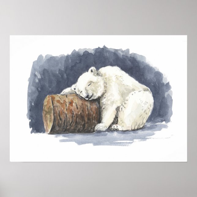 Affiche Ours polaire dormant, aquarelle (Devant)