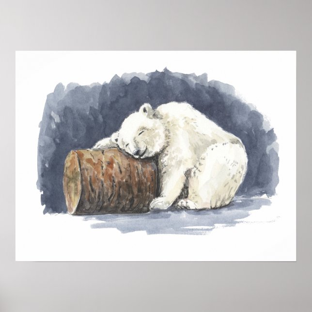 Affiche Ours polaire dormant, aquarelle (Devant)