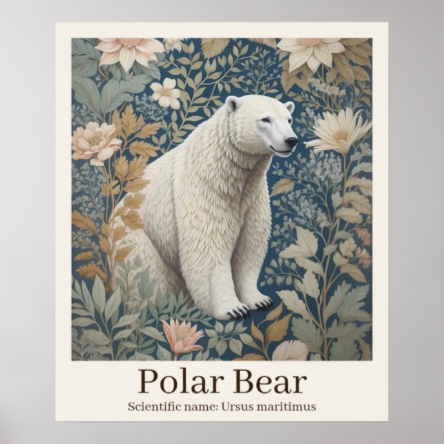 Affiche Ours polaire Nom scientifique Faune (Devant)