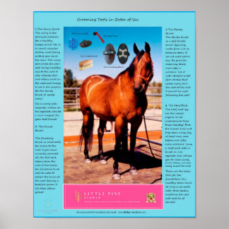 Affiche Outils de toilettage pour chevaux et Comment les u