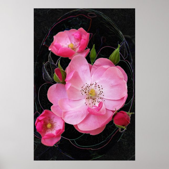 Affiche ouverture de minuscule rosebud (Devant)