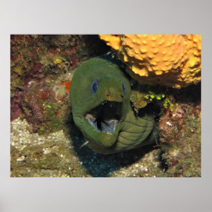 Affiche Ouvrez Large !