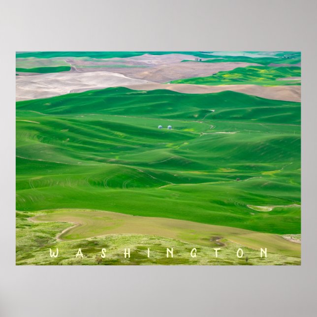Affiche Over the Green Palouse from Steptoe Butte (Devant)