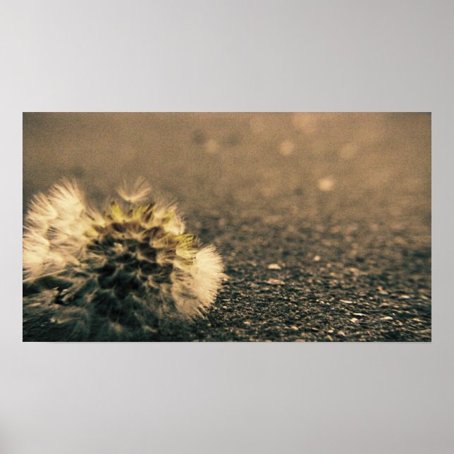 Affiche Overshadowed (Devant)