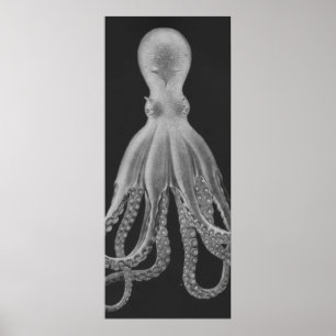 Affiche Oversized Octopus Triptych II Print in Gray