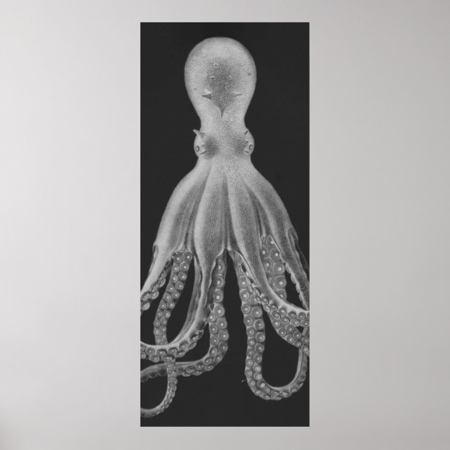 Affiche Oversized Octopus Triptych II Print in Gray (Devant)