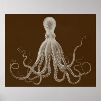 Affiche Oversized Octopus Triptych Print in Brown