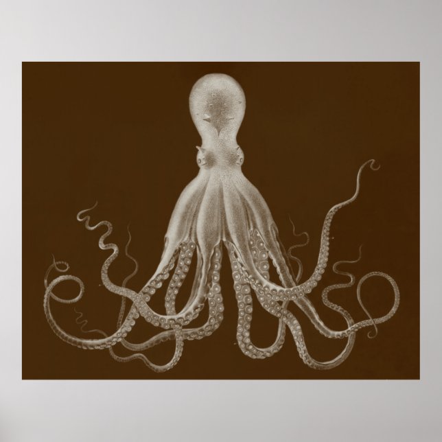 Affiche Oversized Octopus Triptych Print in Brown (Devant)