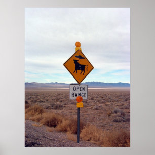 Affiche OVNI et zone 51