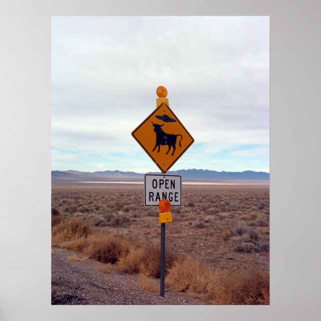 Affiche OVNI et zone 51 (Devant)