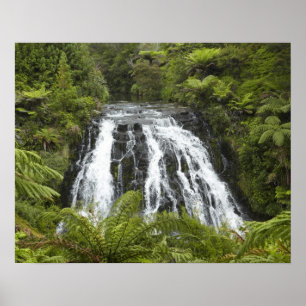 Affiche Owharoa Falls, gorge de Karangahake, près de Paero