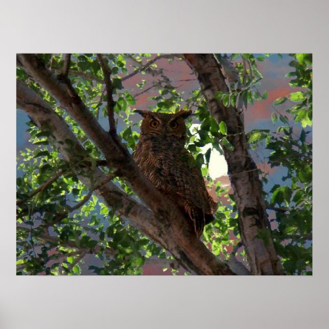 Affiche Owl and the Moon Print (Devant)
