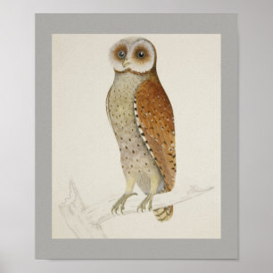 Affiche Owl Bird Peace Cottage Office Destiny's Destiny