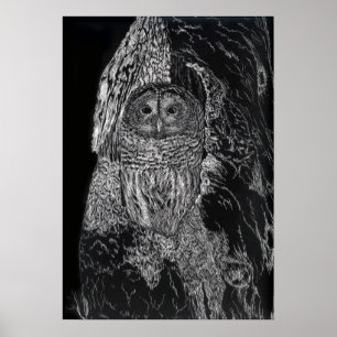 Affiche Owl Bird Tree Drawing Black White Art