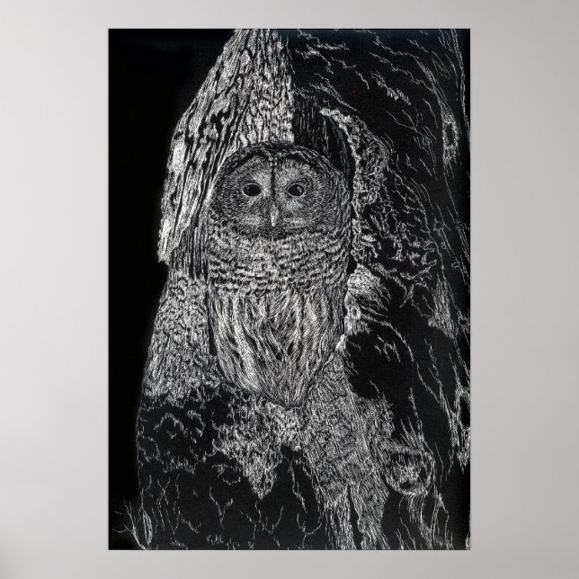 Affiche Owl Bird Tree Drawing Black White Art (Devant)