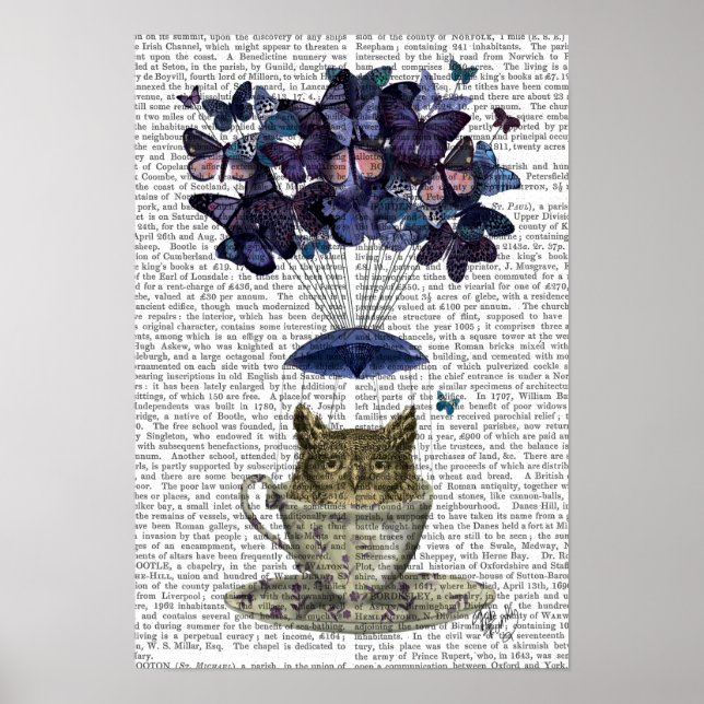 Affiche Owl In Teacup (Devant)