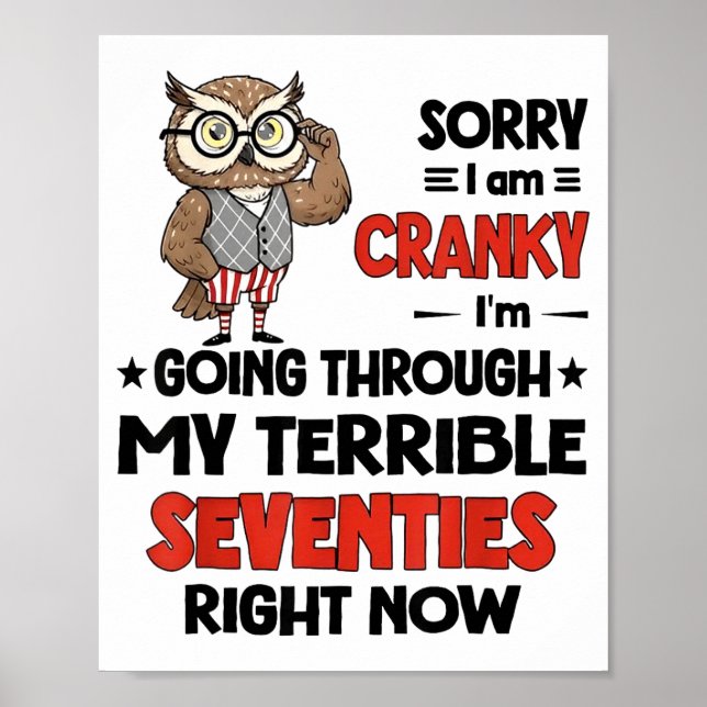 Affiche Owl Sorry I'm Cranky I'm Going Through My Terrible (Devant)