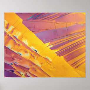 Affiche Oxalic Acid Crystals