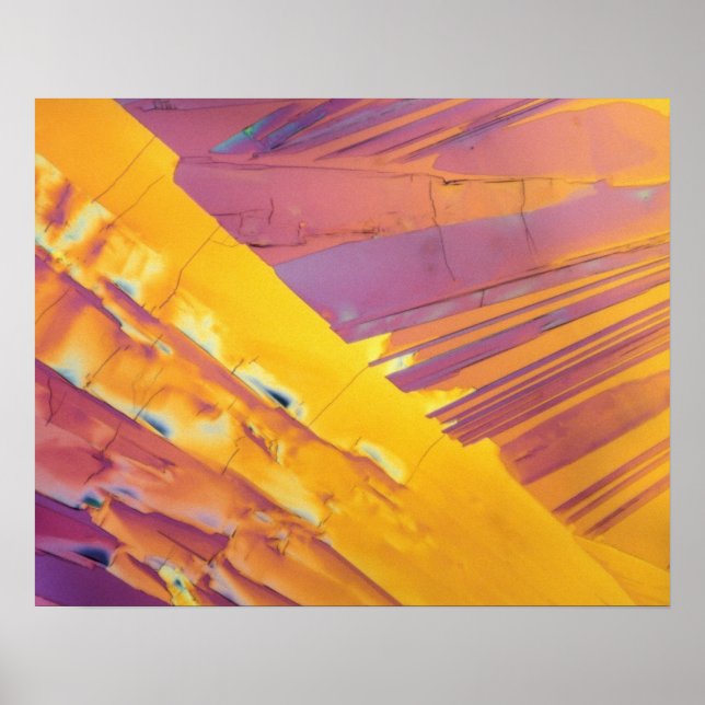 Affiche Oxalic Acid Crystals (Devant)