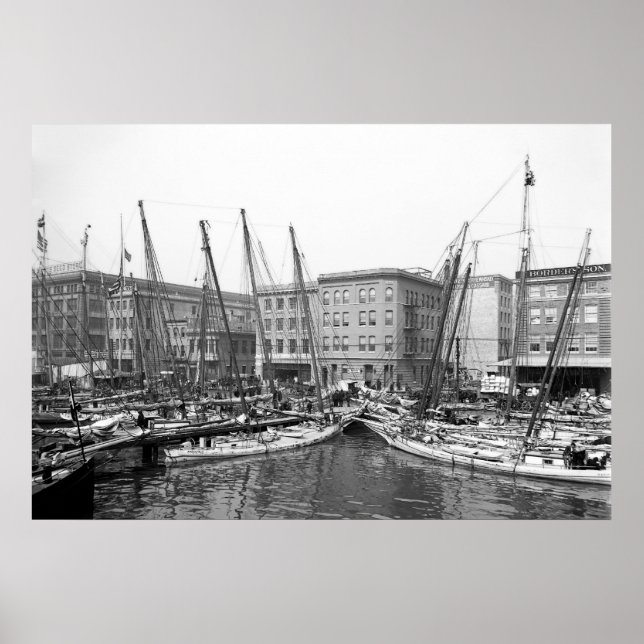 Affiche Oyster Luggers (Devant)